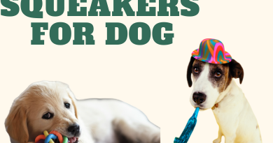 Toy Squeakers for Dogs